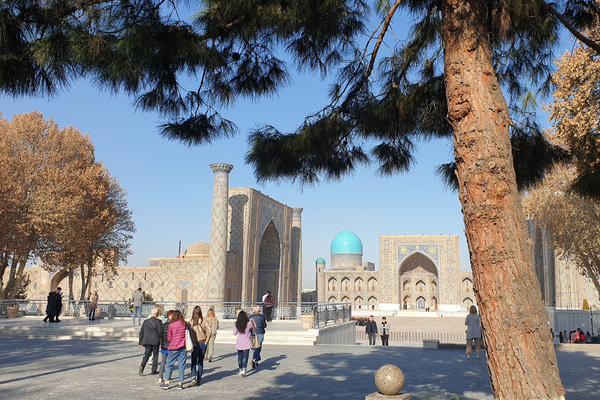المدينة اللازوردية. كيف تبدو لؤلؤة أوزبكستان الآن ولماذا يتعين عليك الذهاب إلى هناك في فصل الشتاء